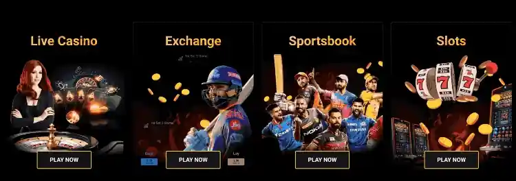 IPL Betting Apps